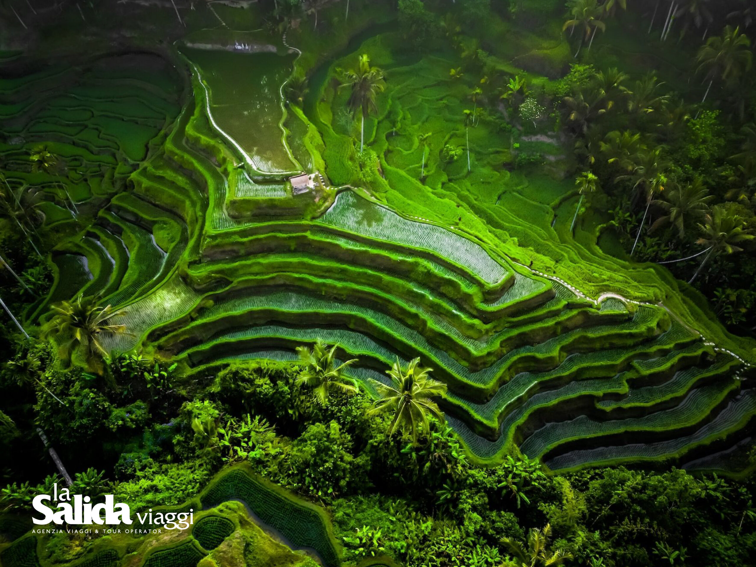 Family: Indonesia - Bali