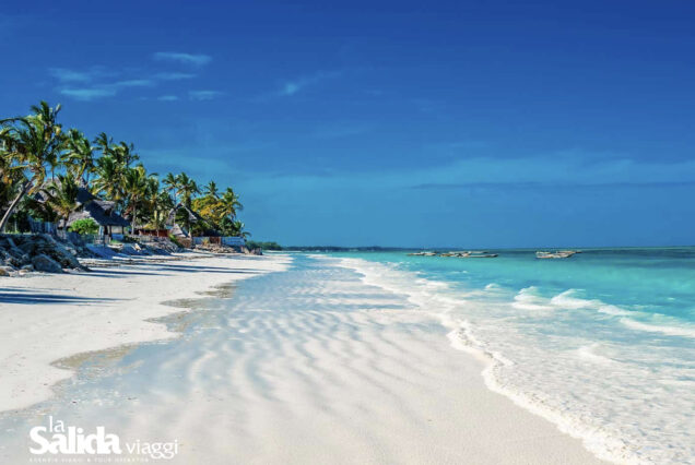 Dubai - Zanzibar