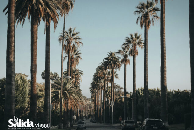 California - Hawaii