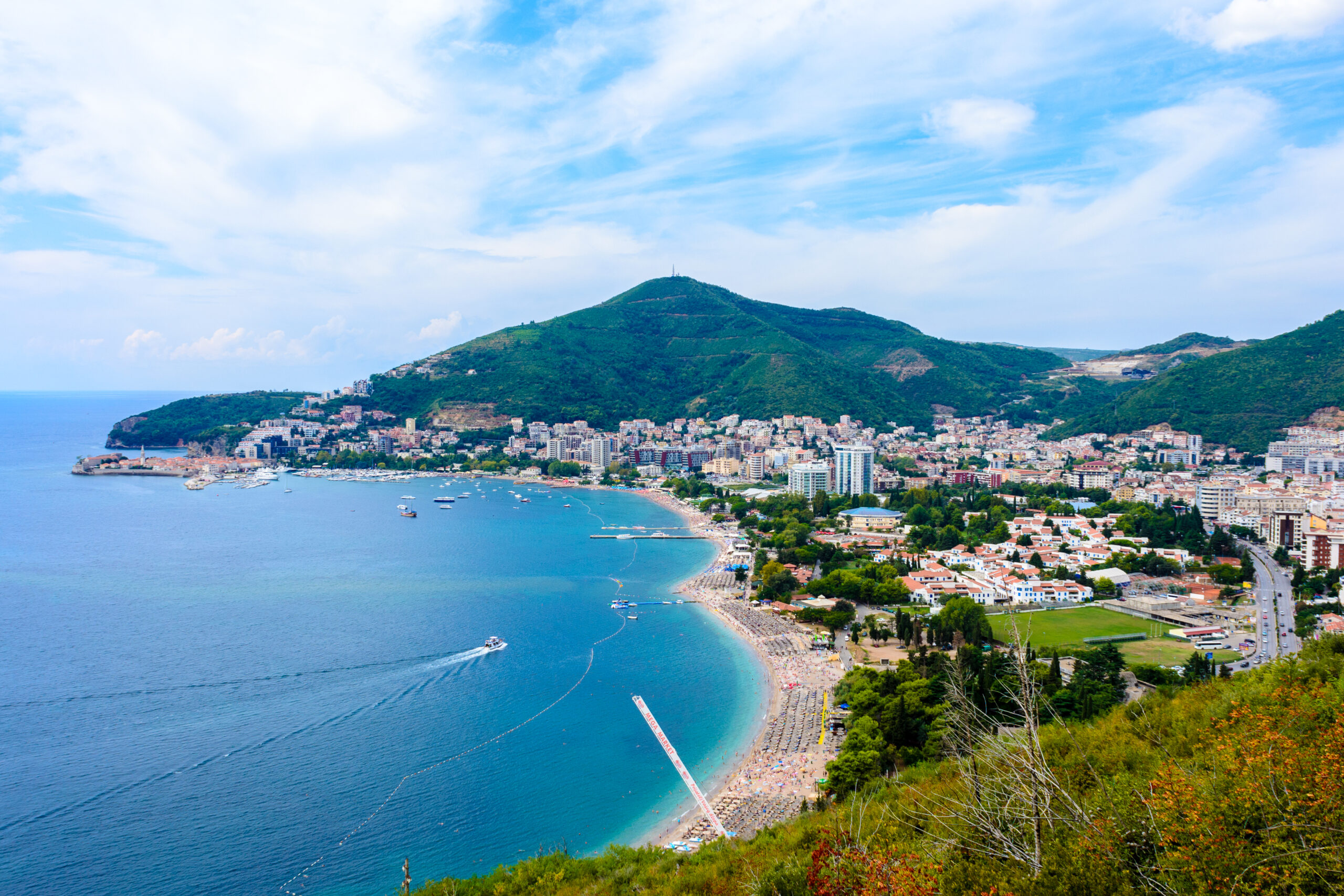 Family: Montenegro
