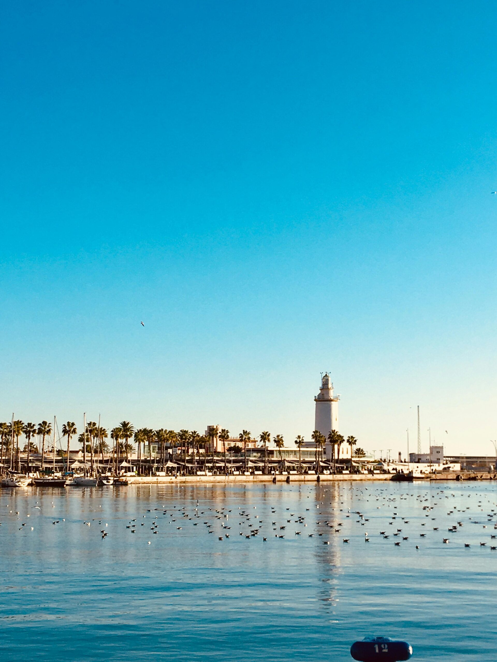 Family: Andalucia