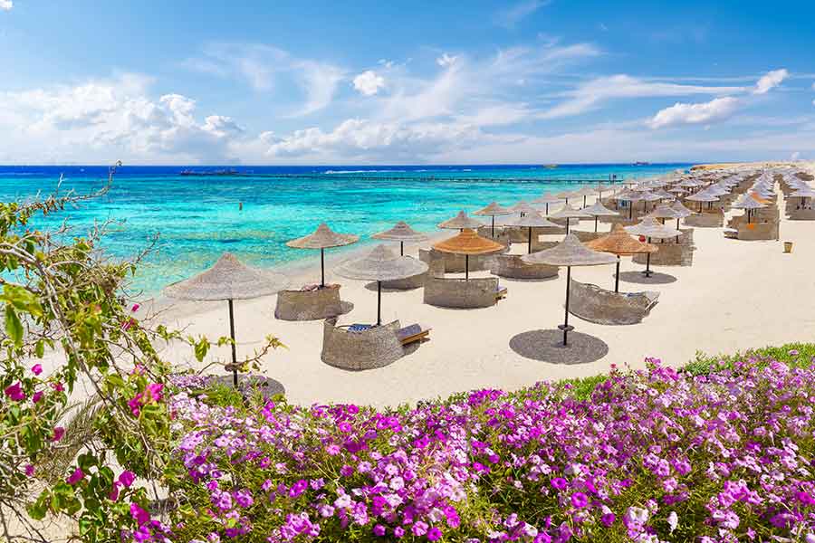 Marsa Alam - Ponte Immacolata
